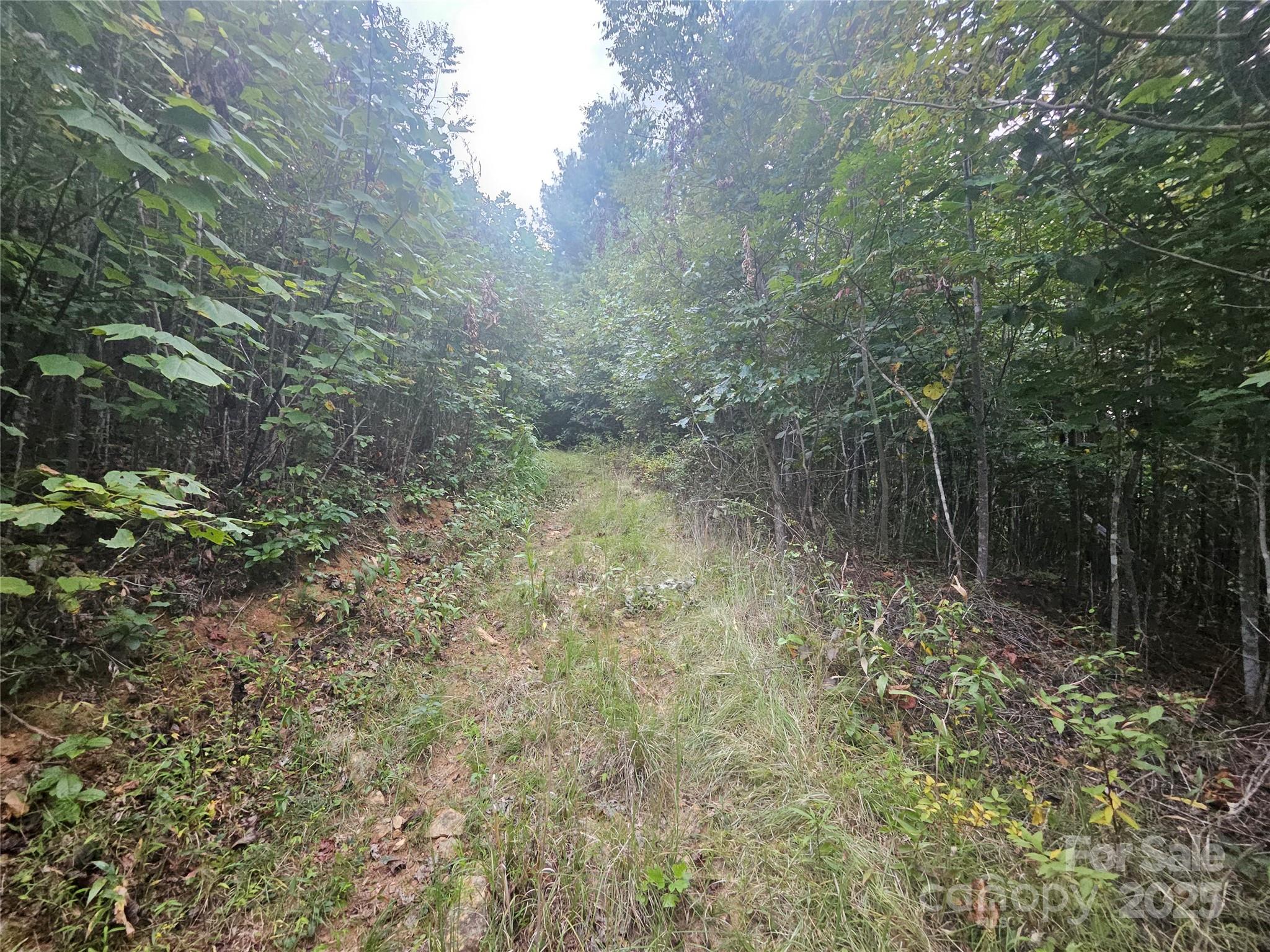 000 Double Island Road Green Mountain NC 28740