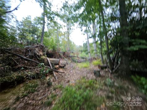 000 Double Island Road Green Mountain NC 28740