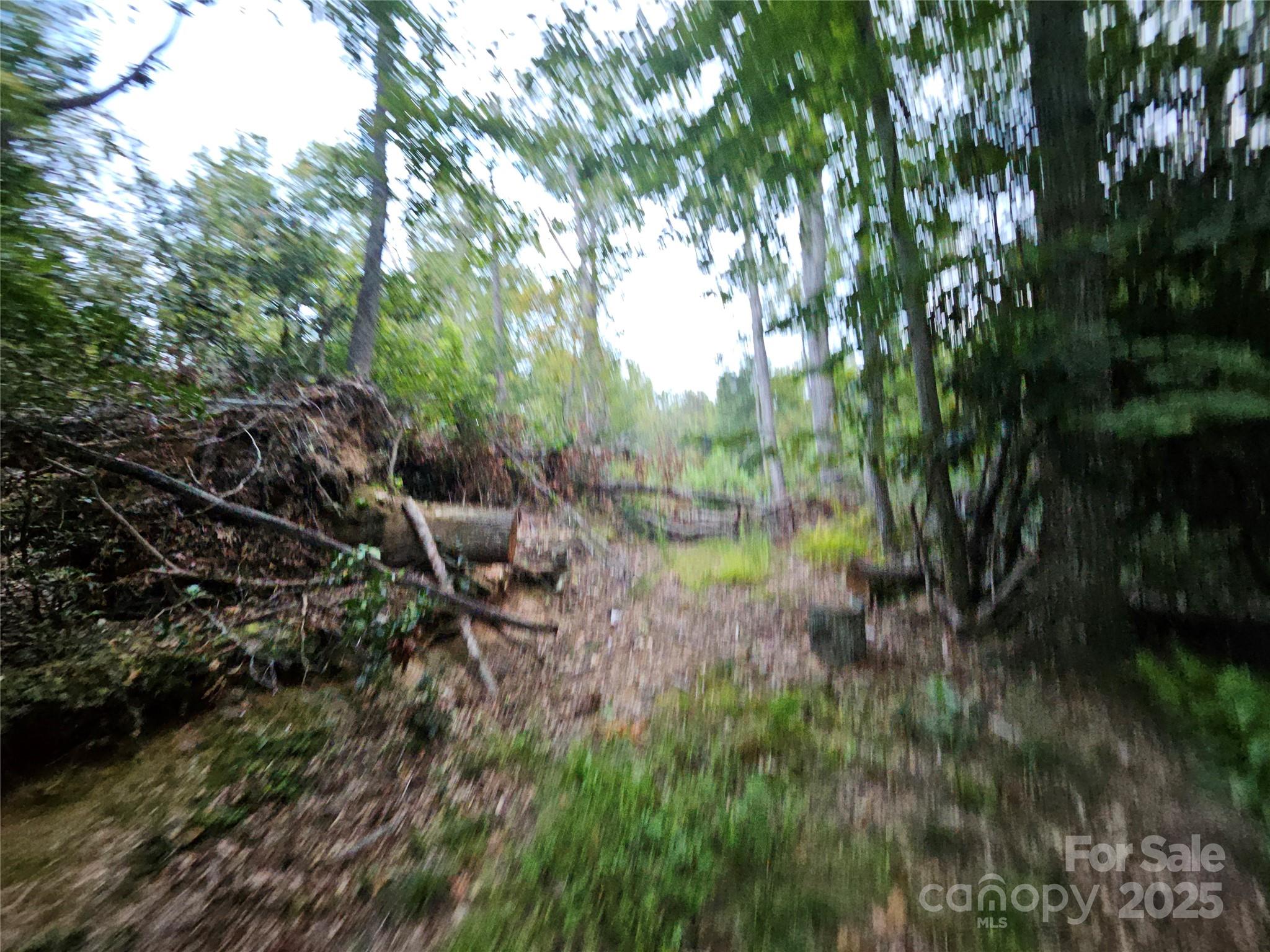 000 Double Island Road Green Mountain NC 28740