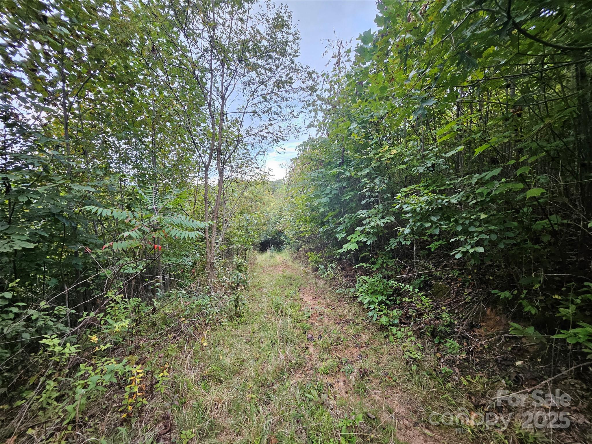 000 Double Island Road Green Mountain NC 28740