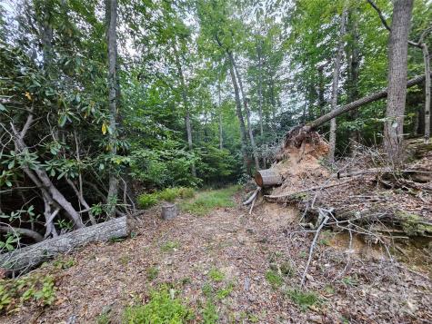 000 Double Island Road Green Mountain NC 28740