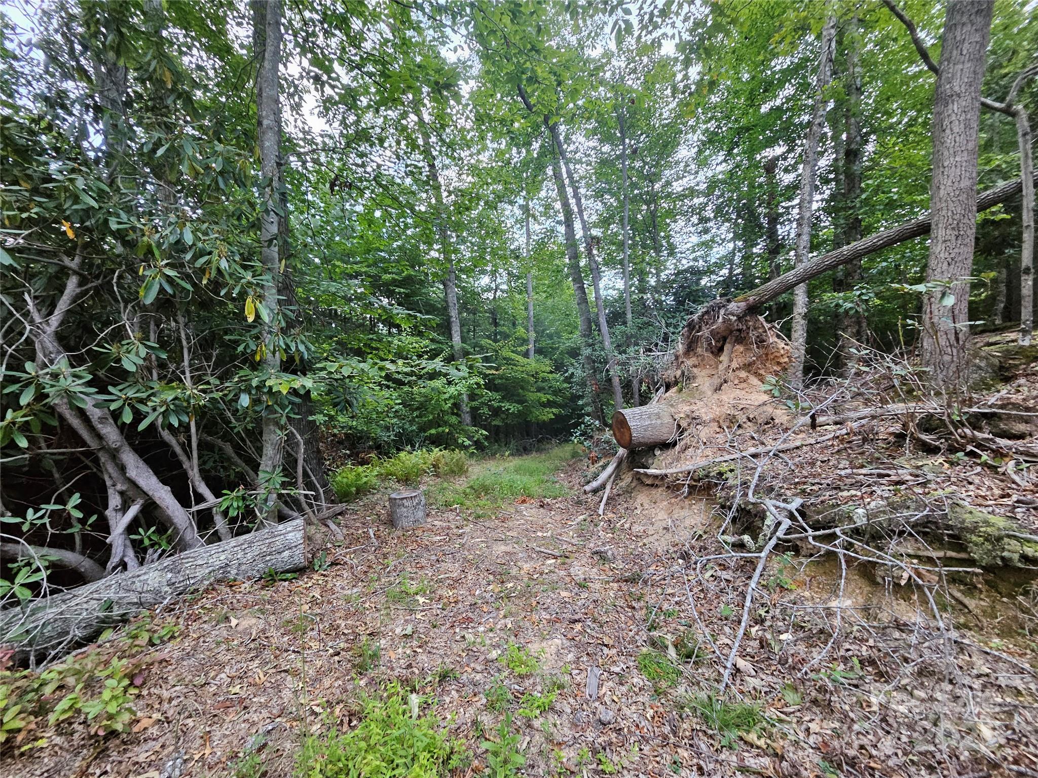 000 Double Island Road Green Mountain NC 28740