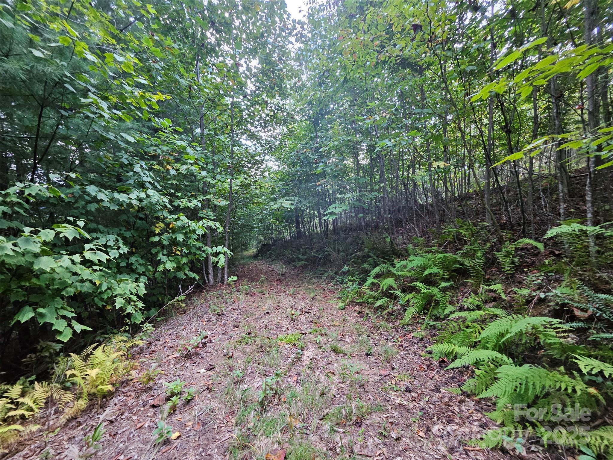 000 Double Island Road Green Mountain NC 28740
