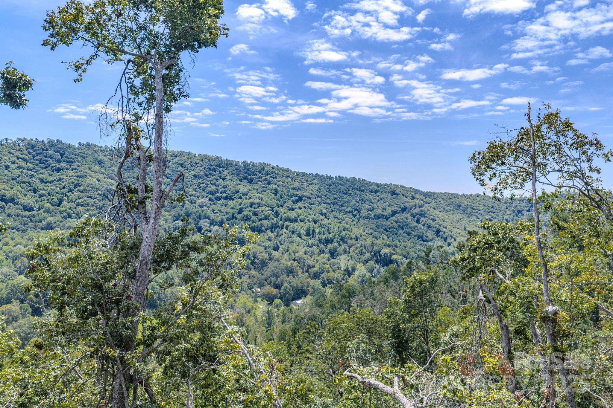 99999 Majestic Mountain Drive Asheville NC 28805