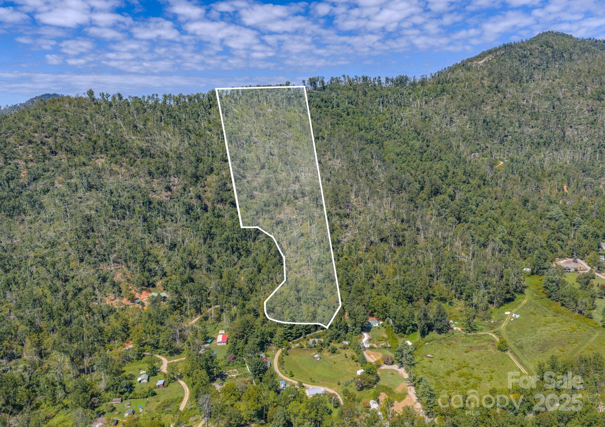 99999 Majestic Mountain Drive Asheville NC 28805