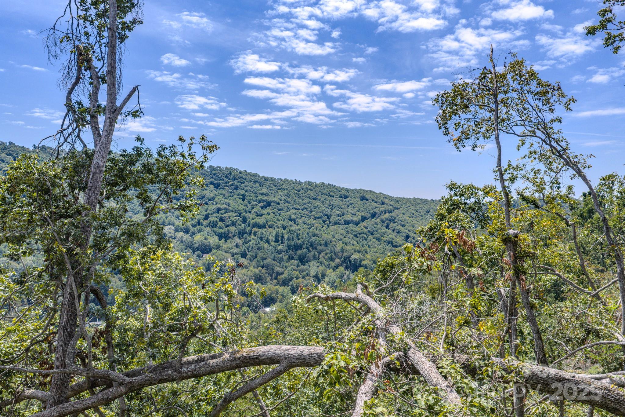 99999 Majestic Mountain Drive Asheville NC 28805
