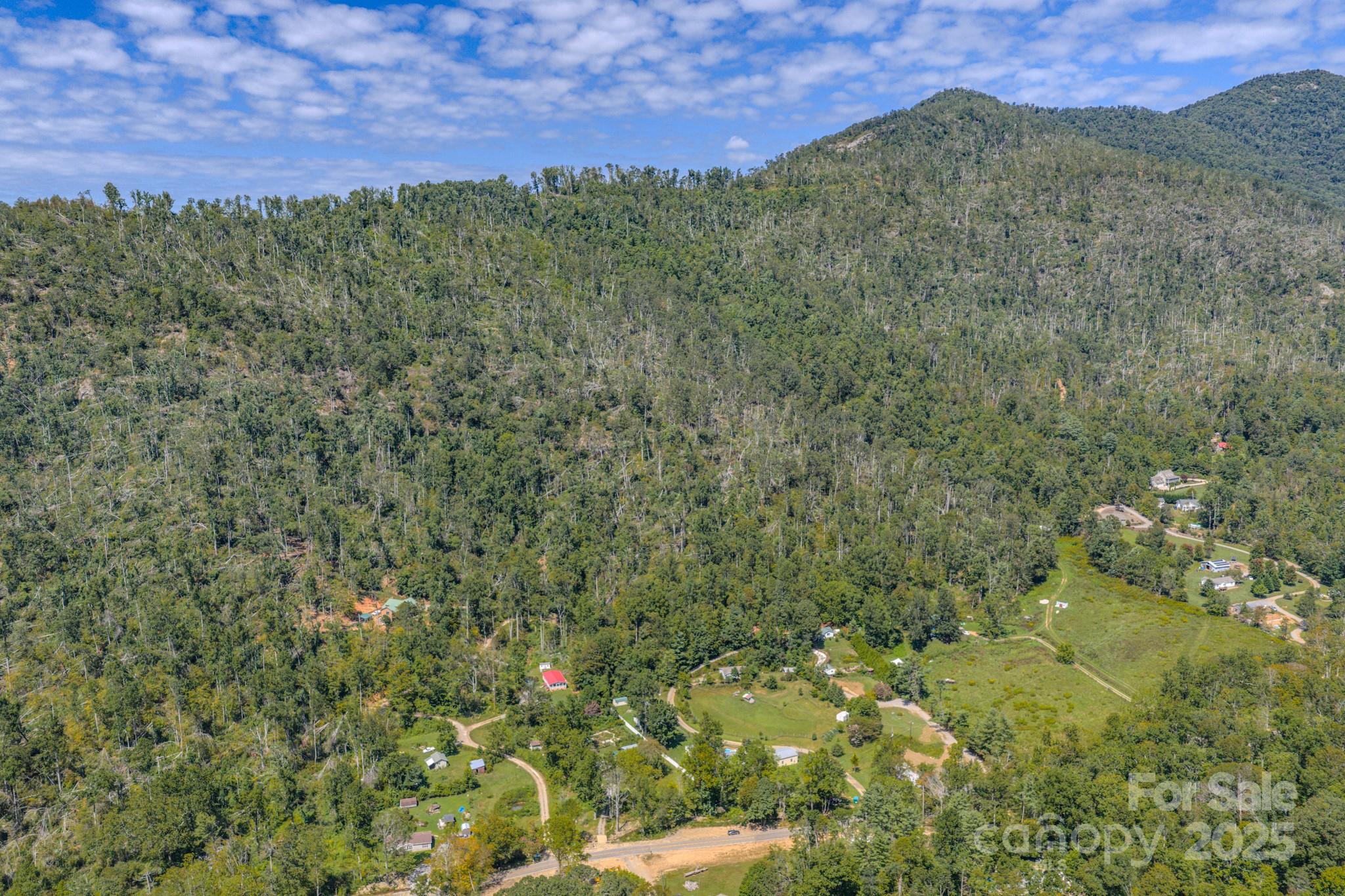 99999 Majestic Mountain Drive Asheville NC 28805