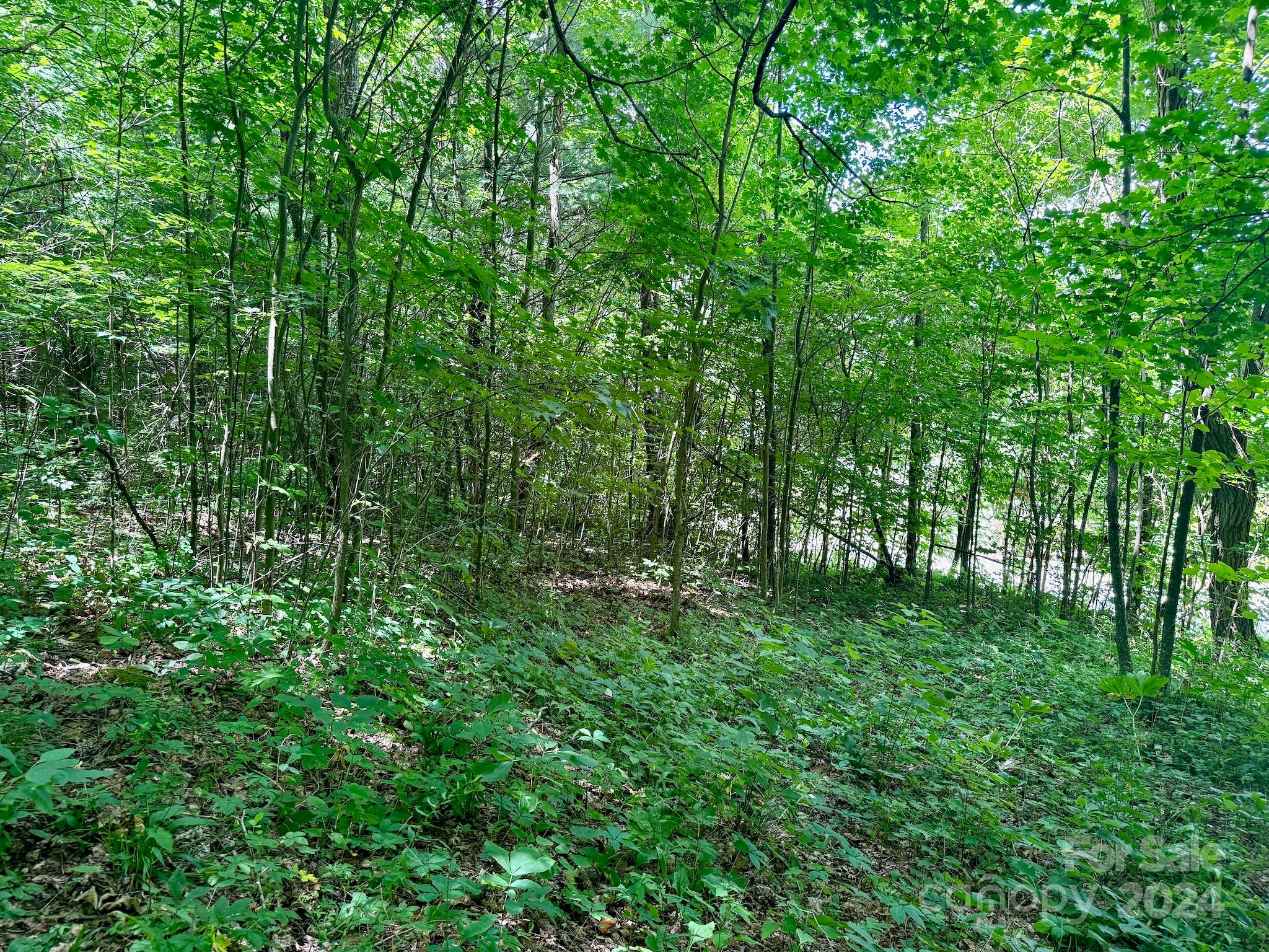 35 Flying Hawk Way Clyde NC 28721