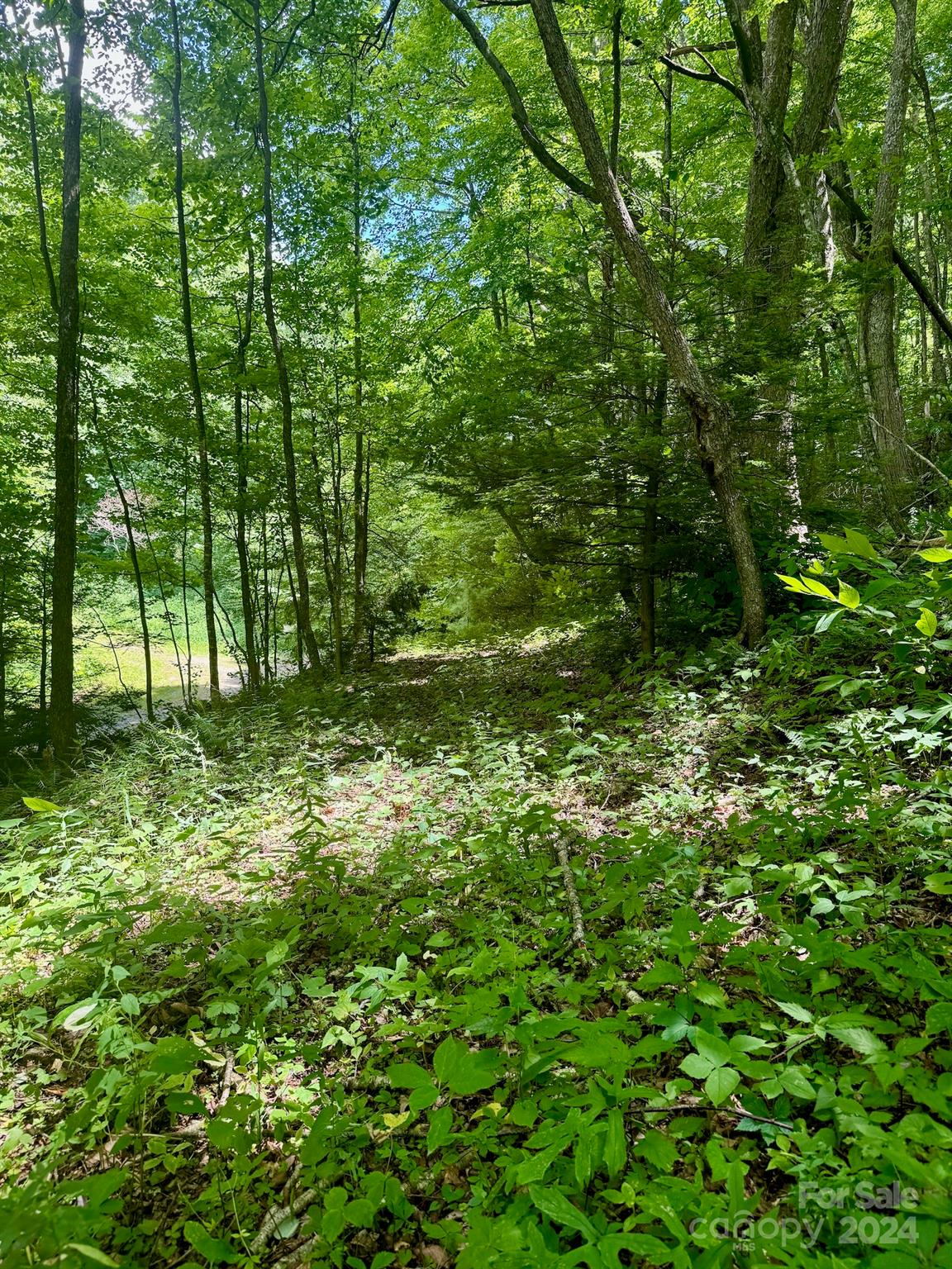 35 Flying Hawk Way Clyde NC 28721