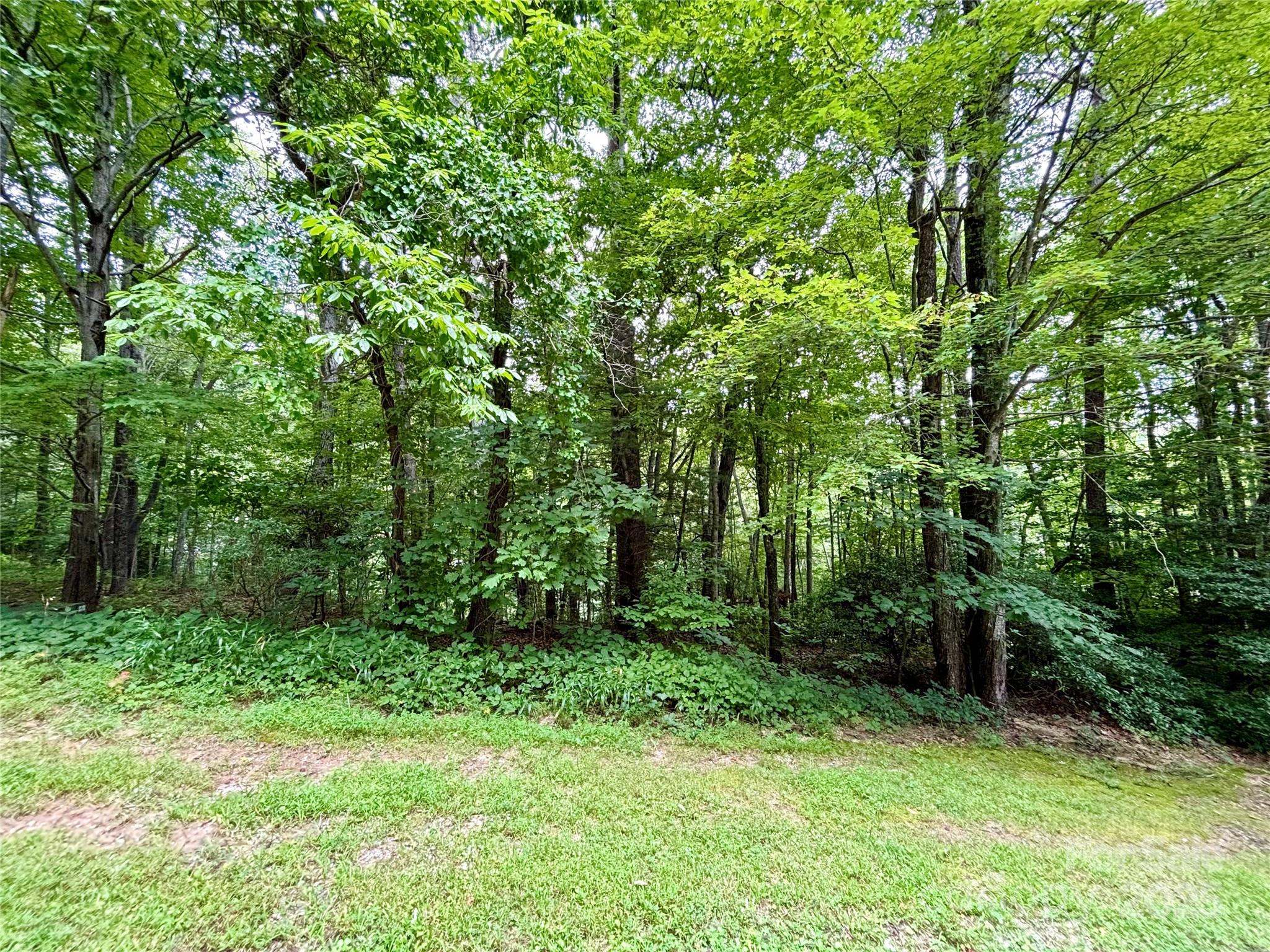 0 Sunlight Ridge Court Hendersonville NC 28792