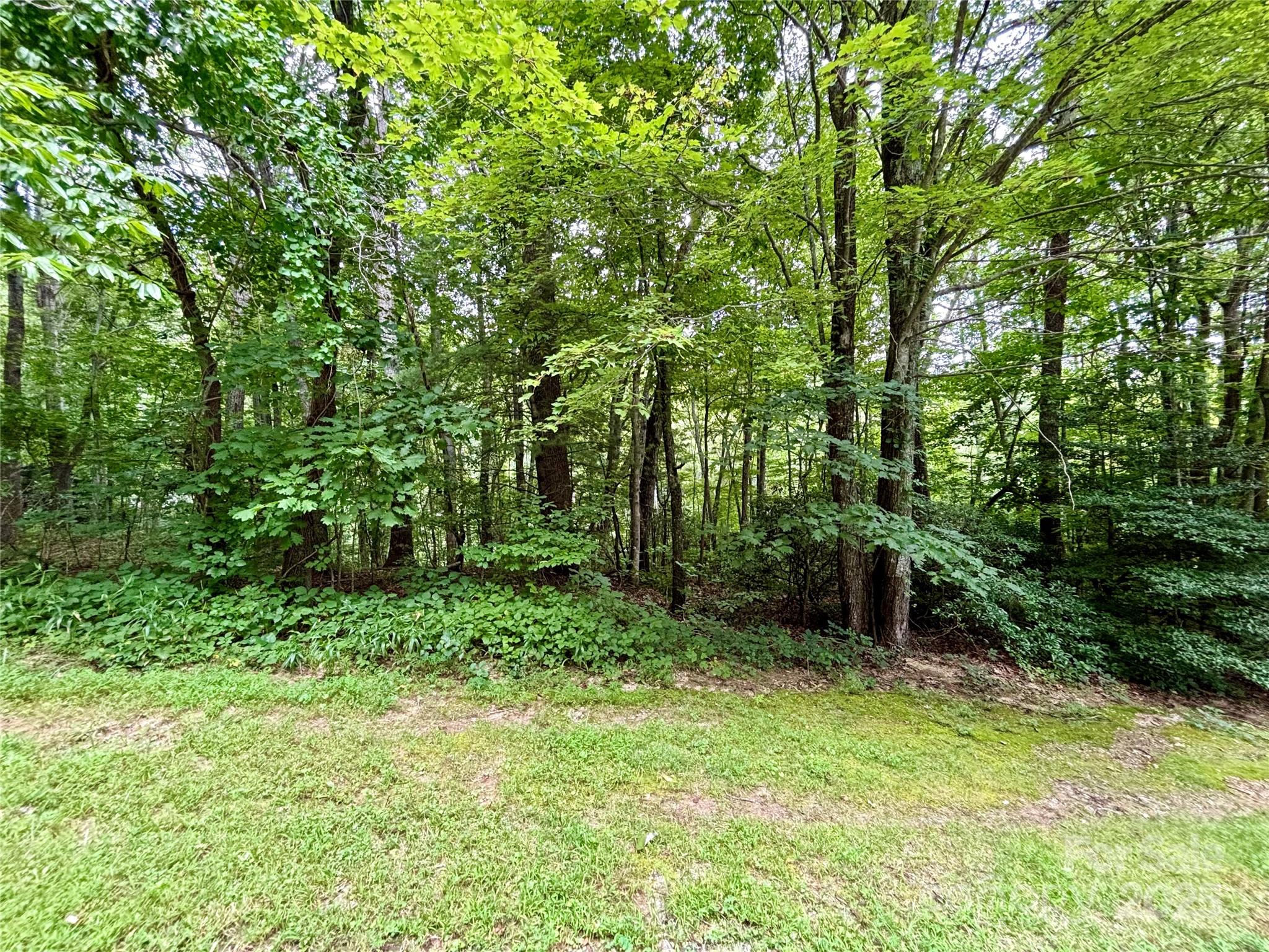 0 Sunlight Ridge Court Hendersonville NC 28792