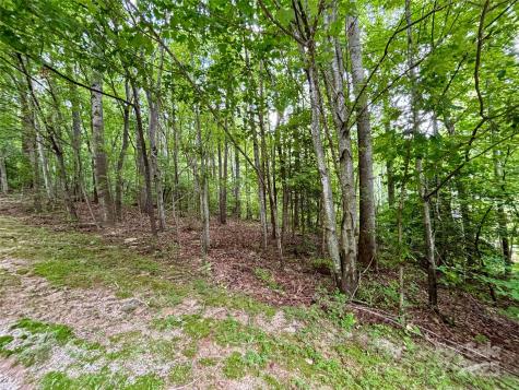 0 Sunlight Ridge Court Hendersonville NC 28792
