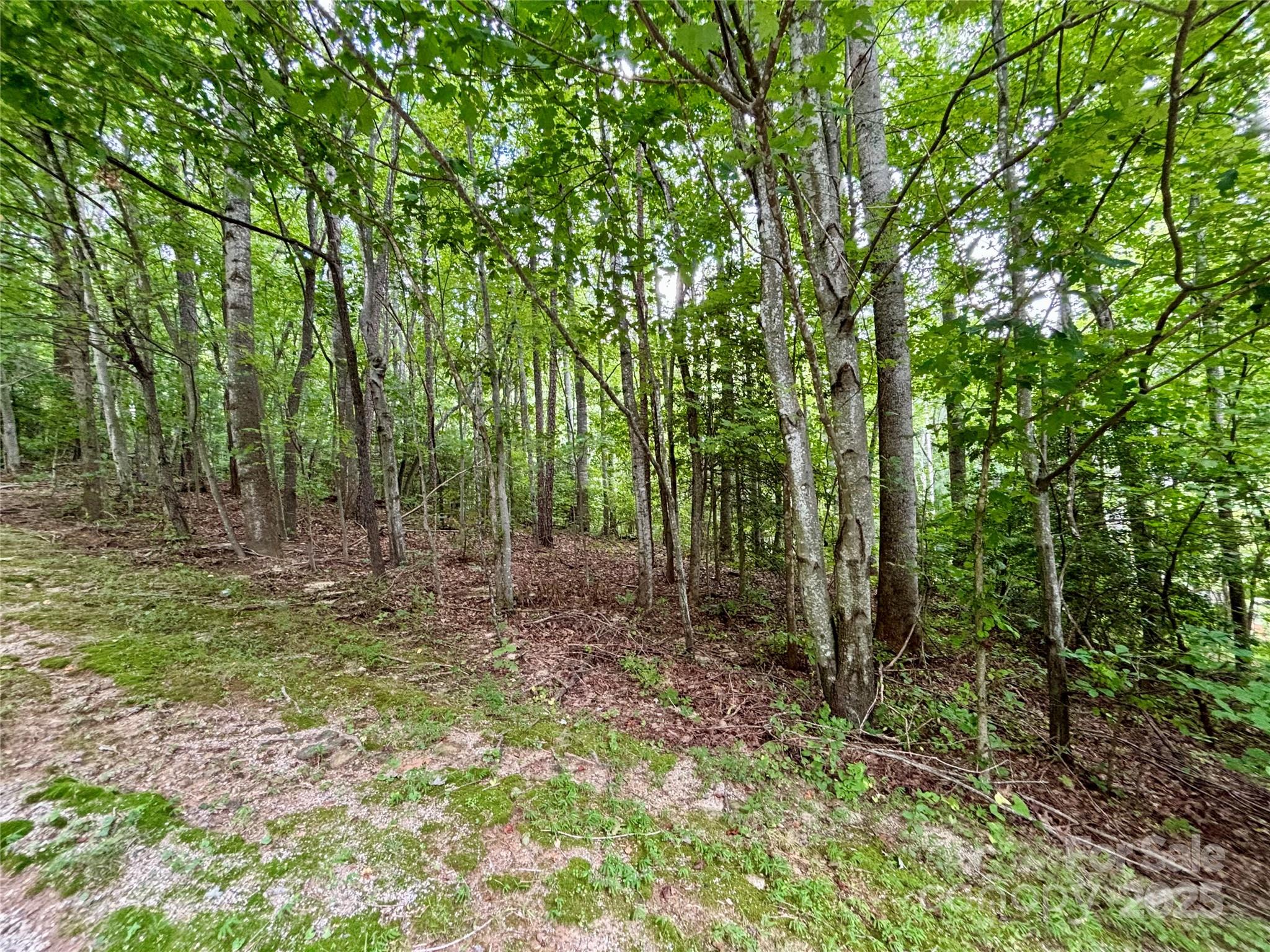 0 Sunlight Ridge Court Hendersonville NC 28792