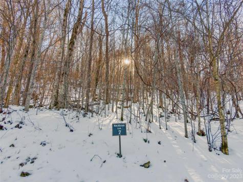 Lot 7 Hadleigh Pearl Way Mars Hill NC 28754