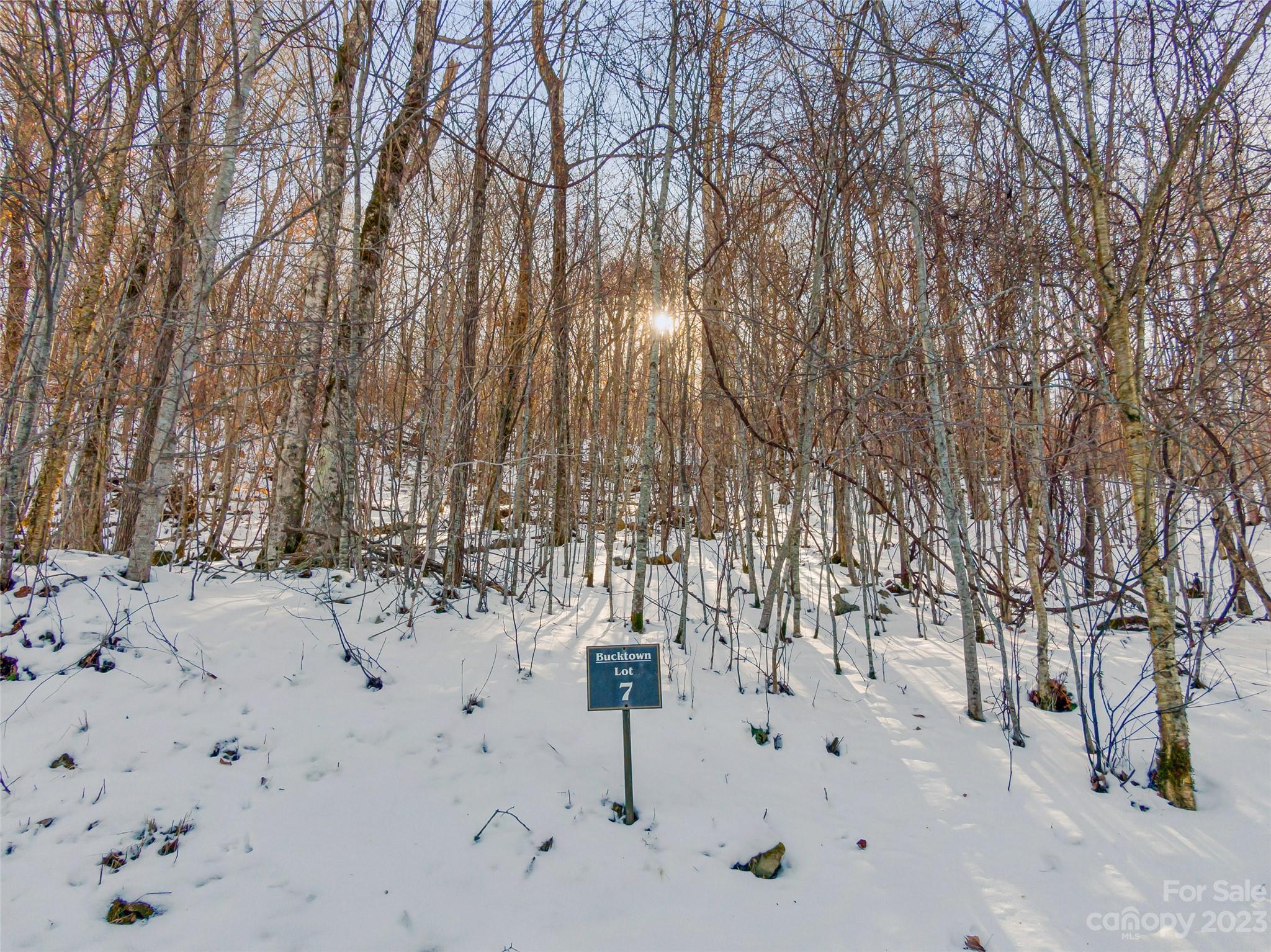 Lot 7 Hadleigh Pearl Way Mars Hill NC 28754