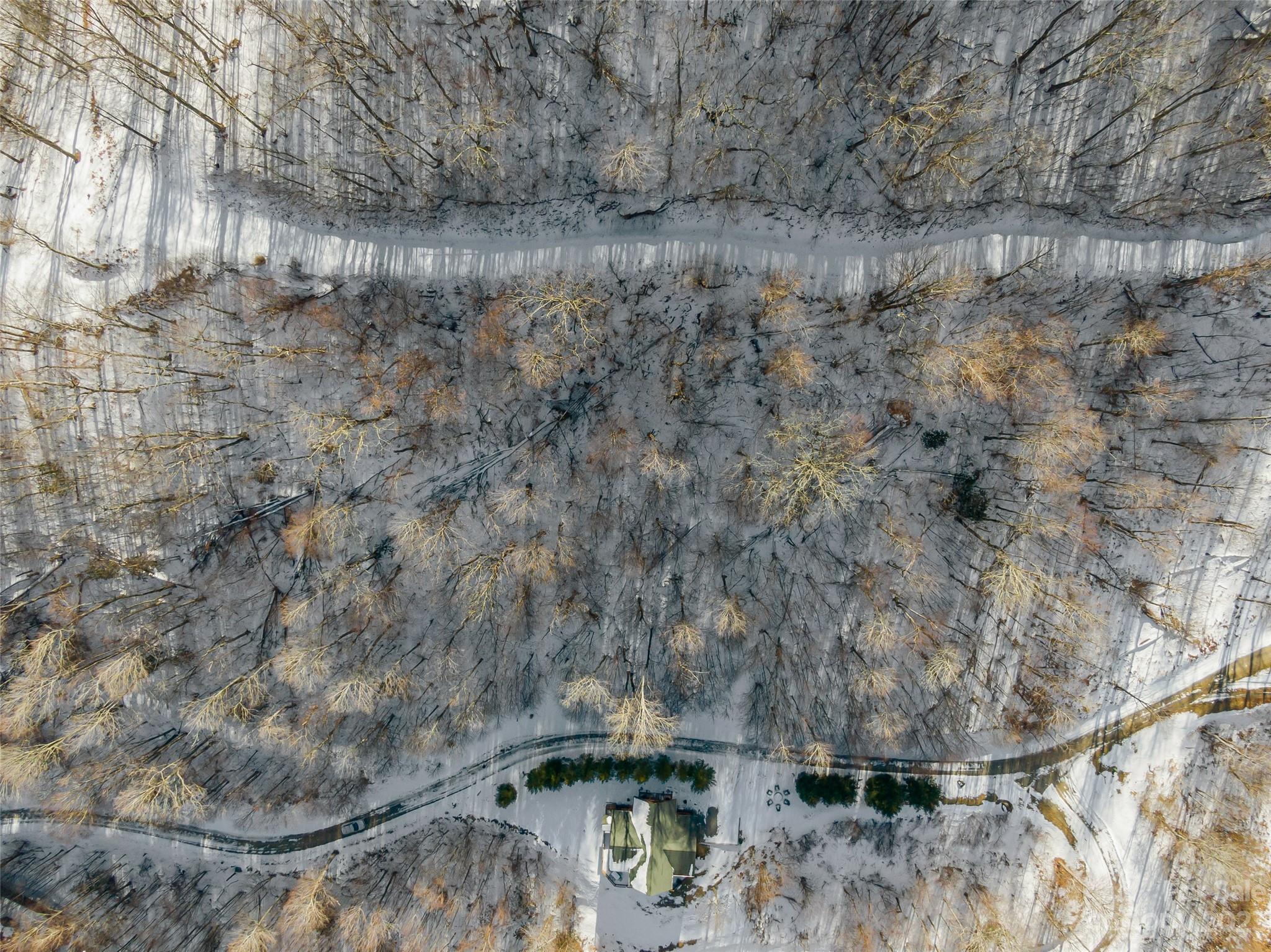 Lot 7 Hadleigh Pearl Way Mars Hill NC 28754