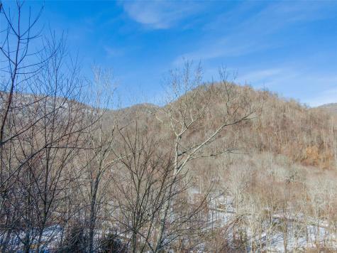 Lot 7 Hadleigh Pearl Way Mars Hill NC 28754