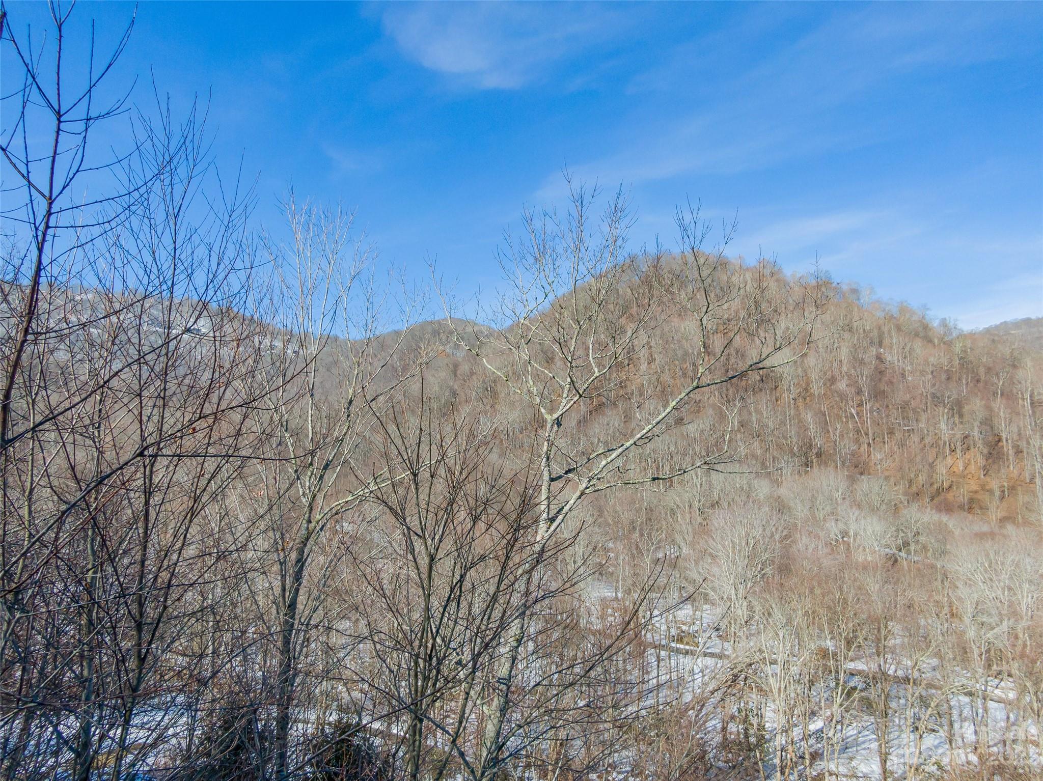 Lot 7 Hadleigh Pearl Way Mars Hill NC 28754