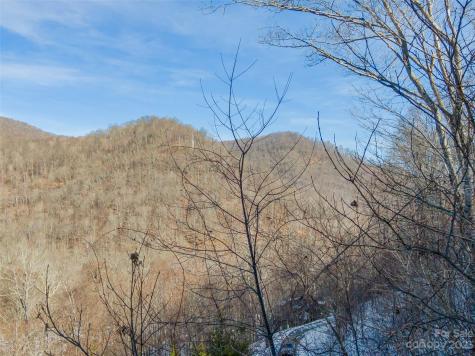 Lot 7 Hadleigh Pearl Way Mars Hill NC 28754