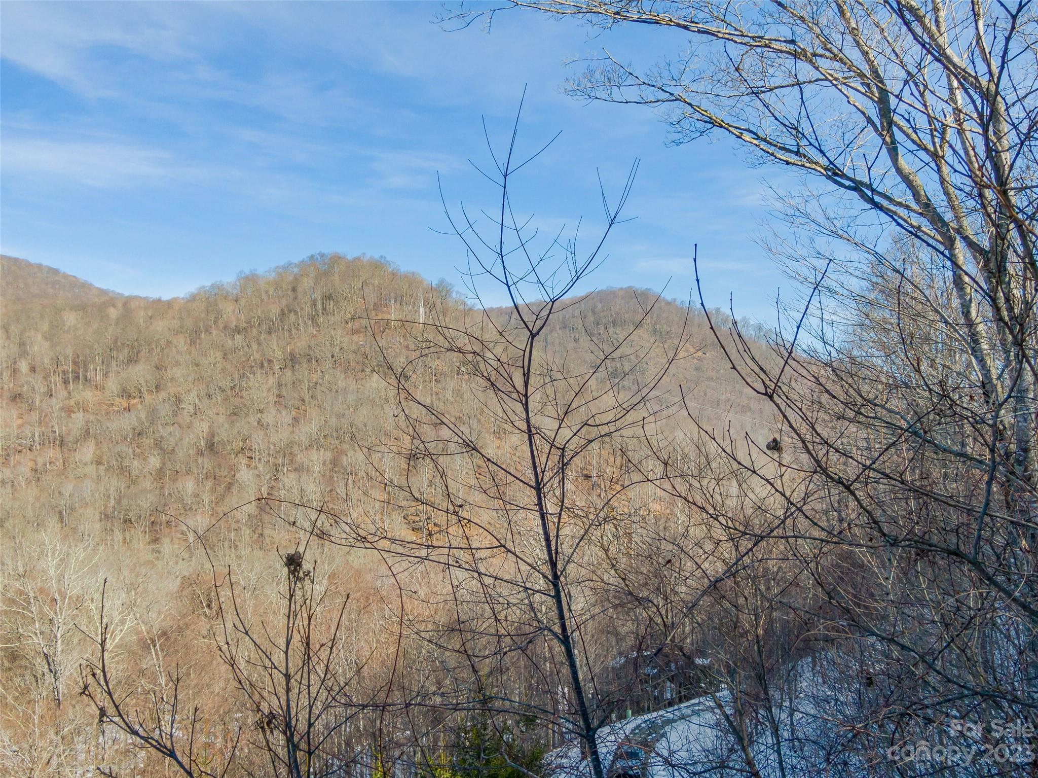 Lot 7 Hadleigh Pearl Way Mars Hill NC 28754
