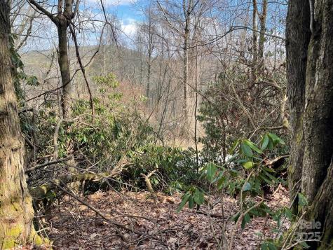0 Gingercake Road Newland NC 28657