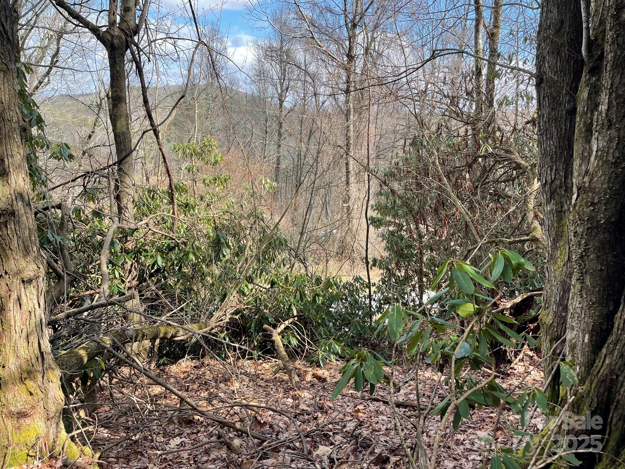 0 Gingercake Road Newland NC 28657