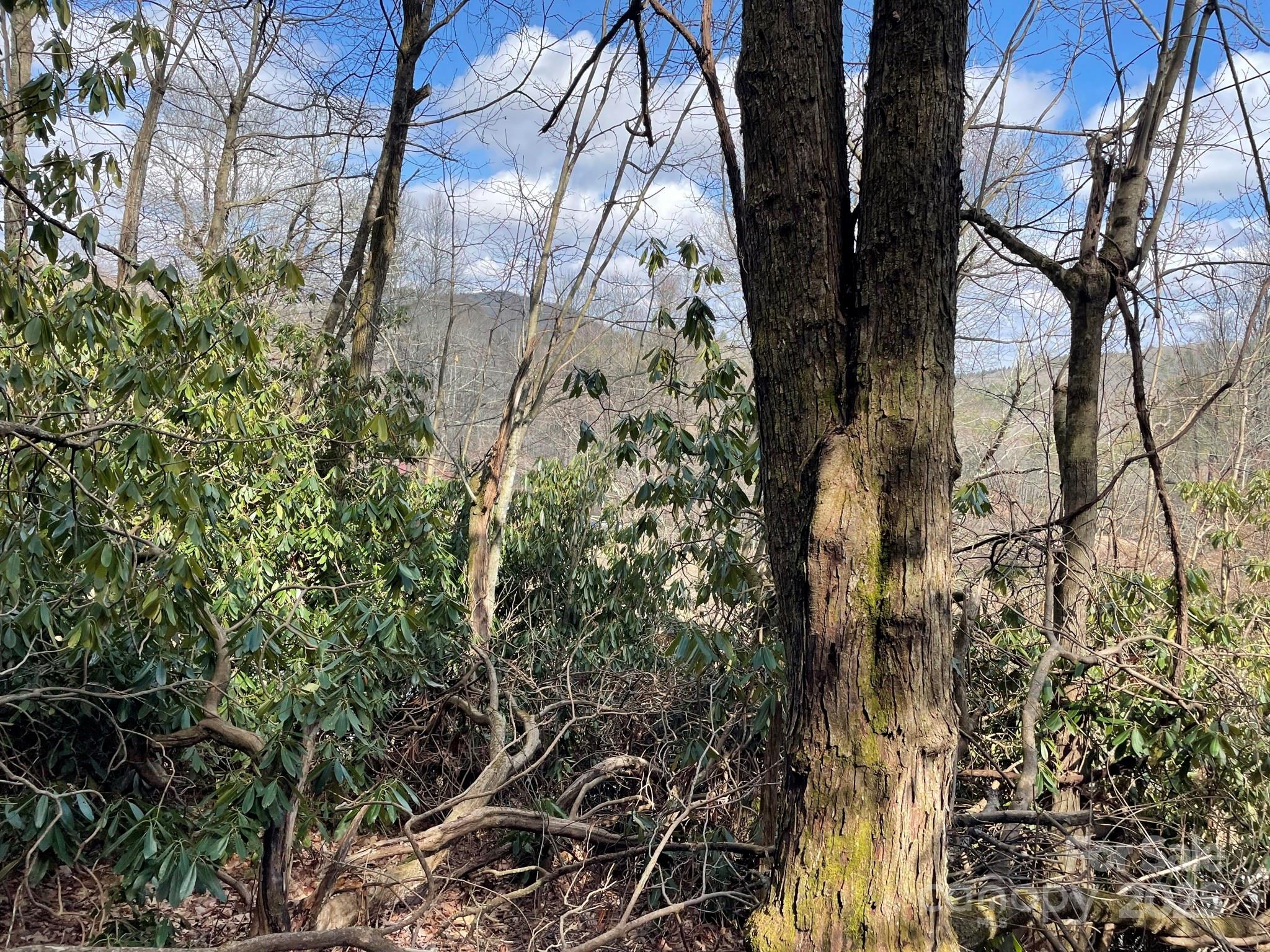 0 Gingercake Road Newland NC 28657
