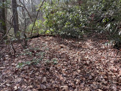 0 Gingercake Road Newland NC 28657