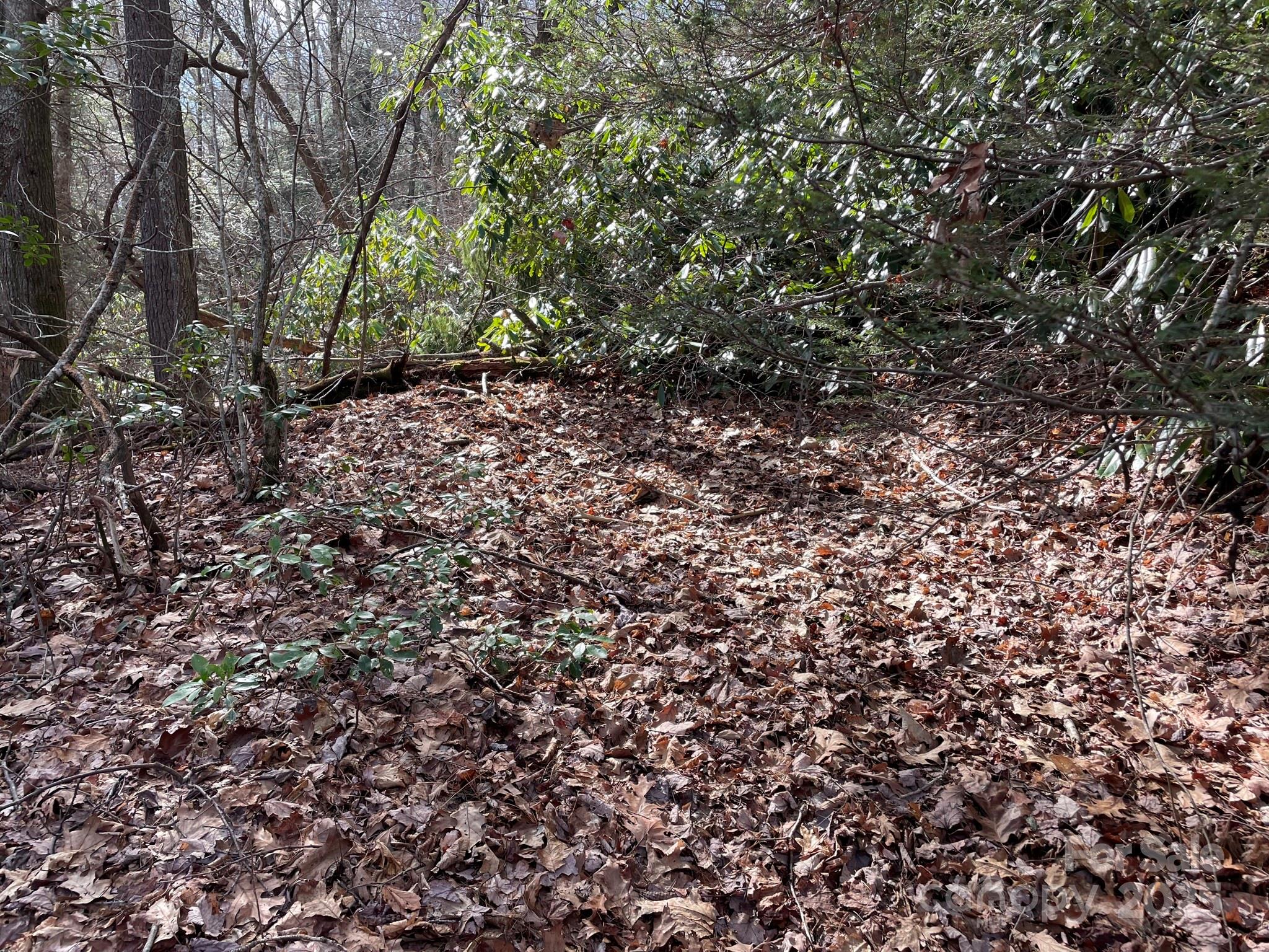 0 Gingercake Road Newland NC 28657
