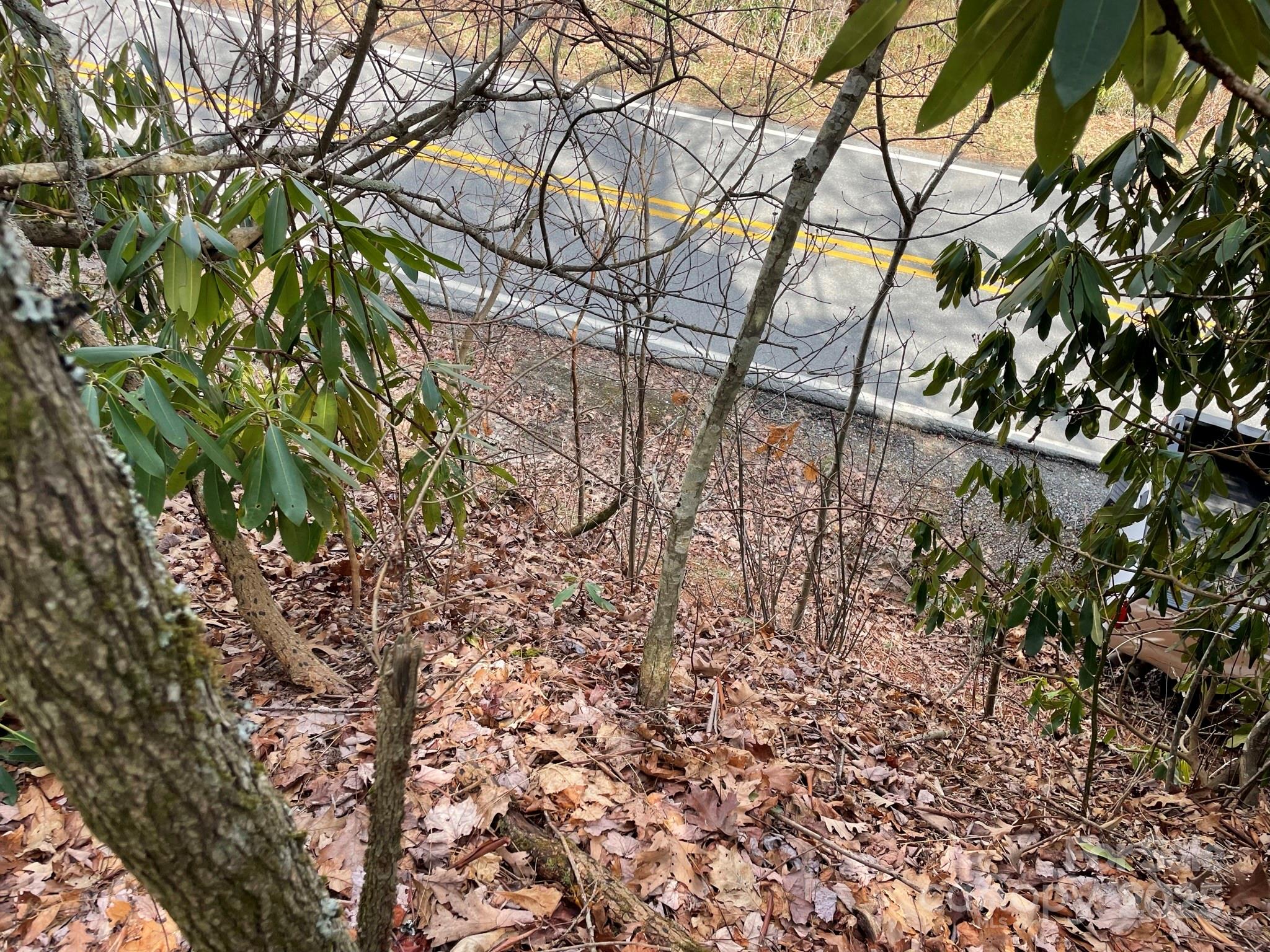 0 Gingercake Road Newland NC 28657