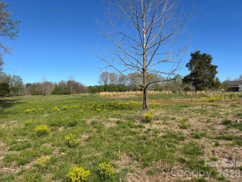 Lot #4 Prince Road Columbus NC 28722