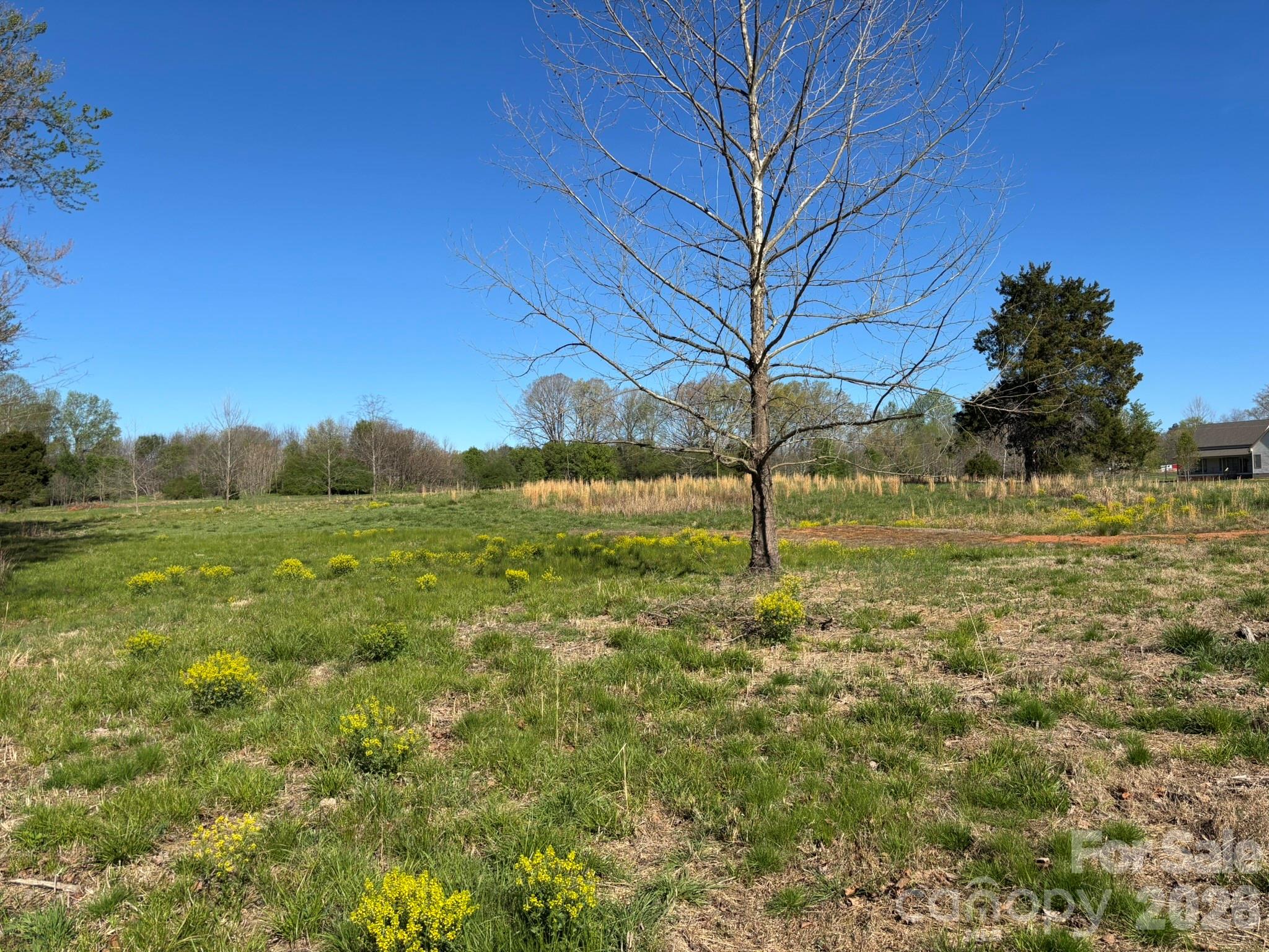 Lot #4 Prince Road Columbus NC 28722