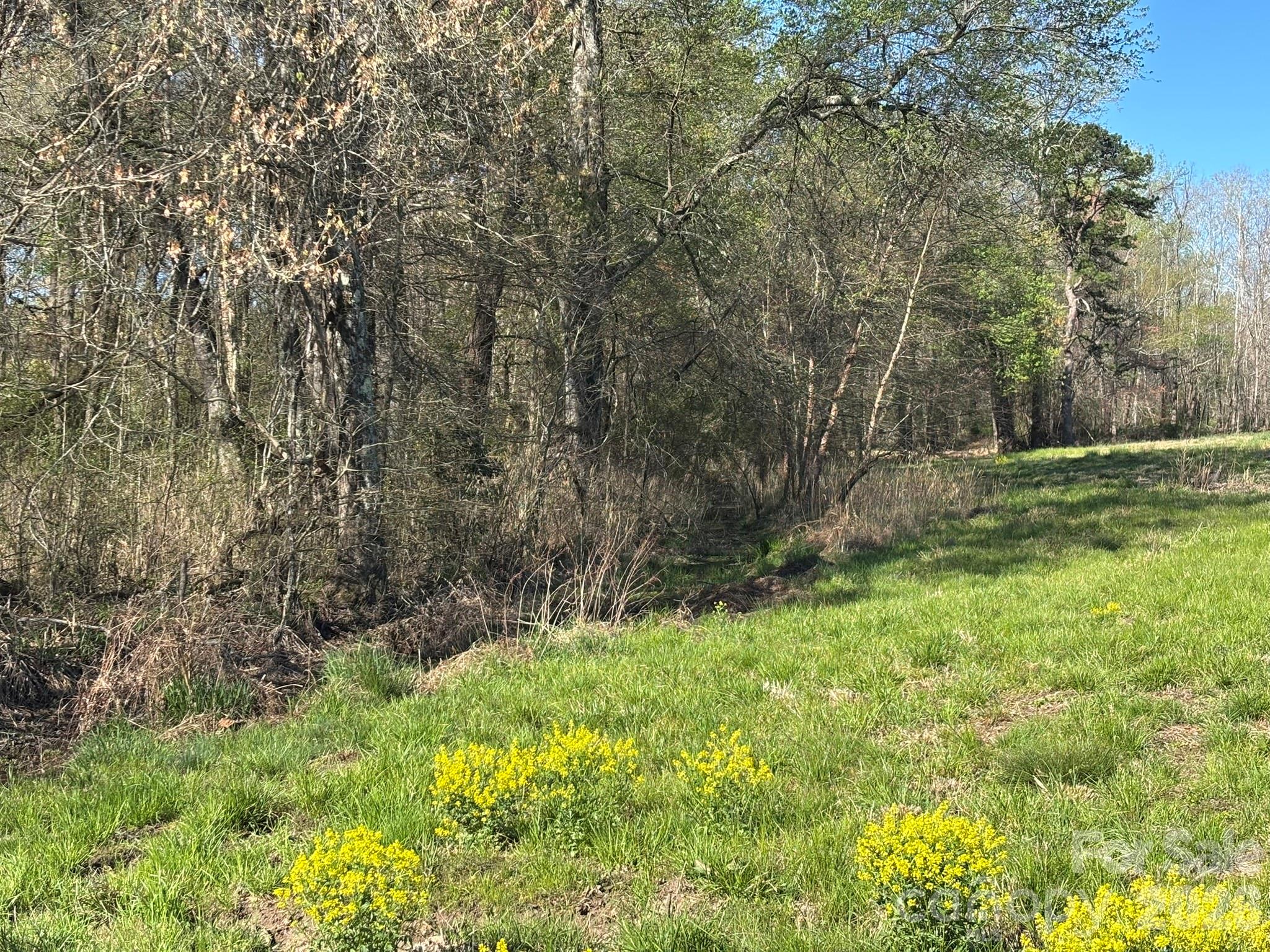 Lot #4 Prince Road Columbus NC 28722