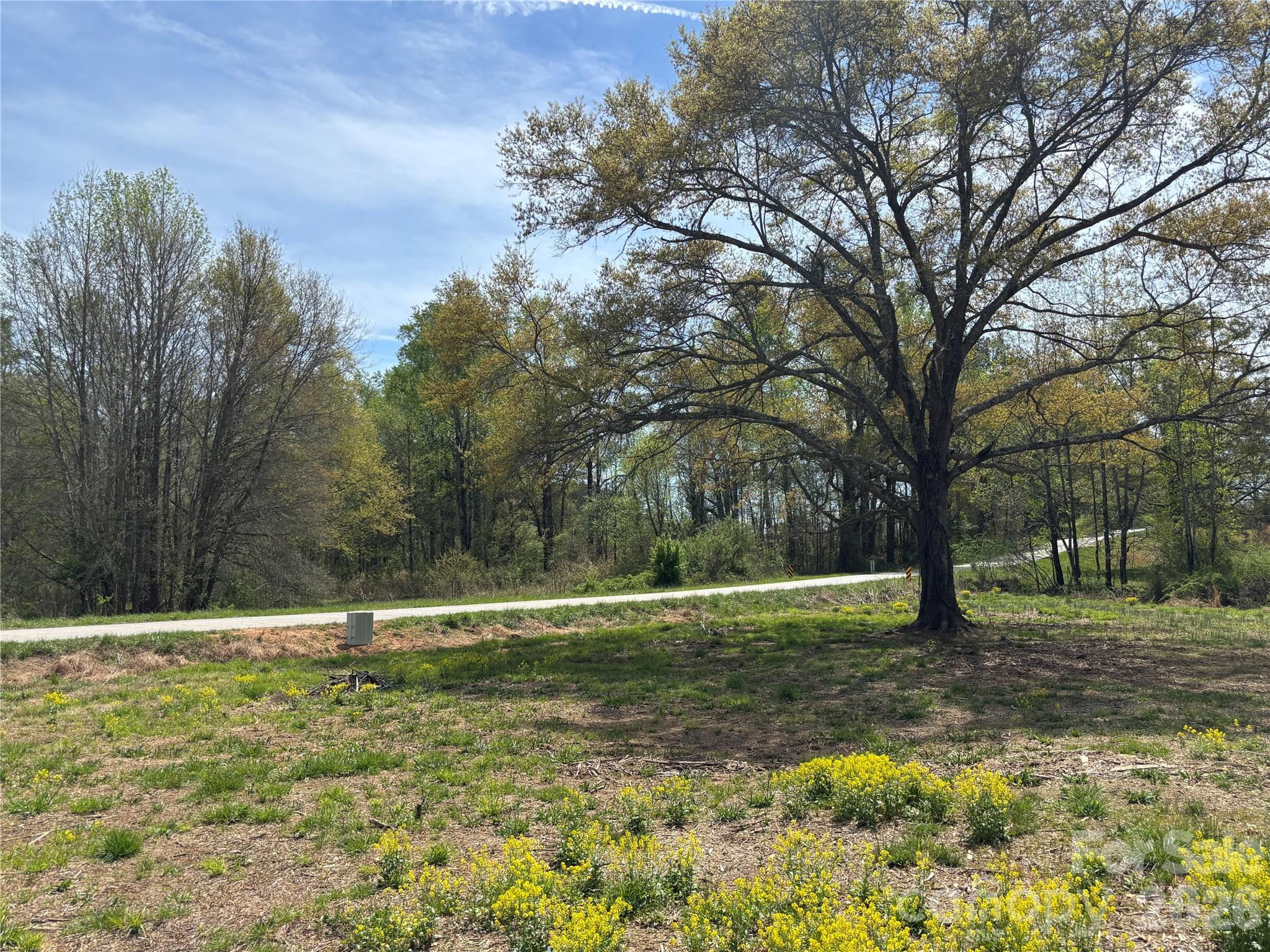 Lot #4 Prince Road Columbus NC 28722