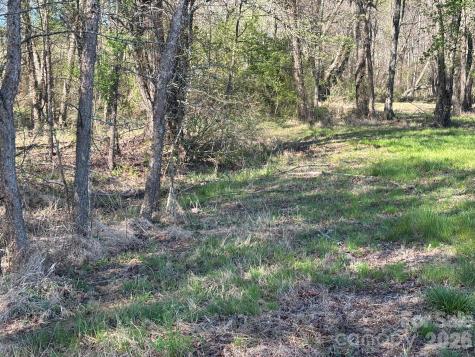 Lot #4 Prince Road Columbus NC 28722