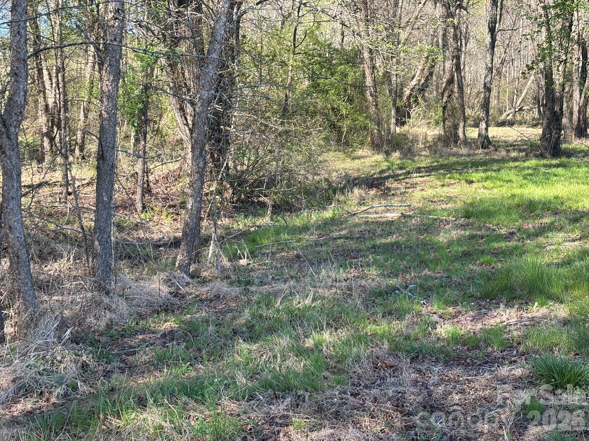 Lot #4 Prince Road Columbus NC 28722