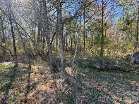 Lot #4 Prince Road Columbus NC 28722