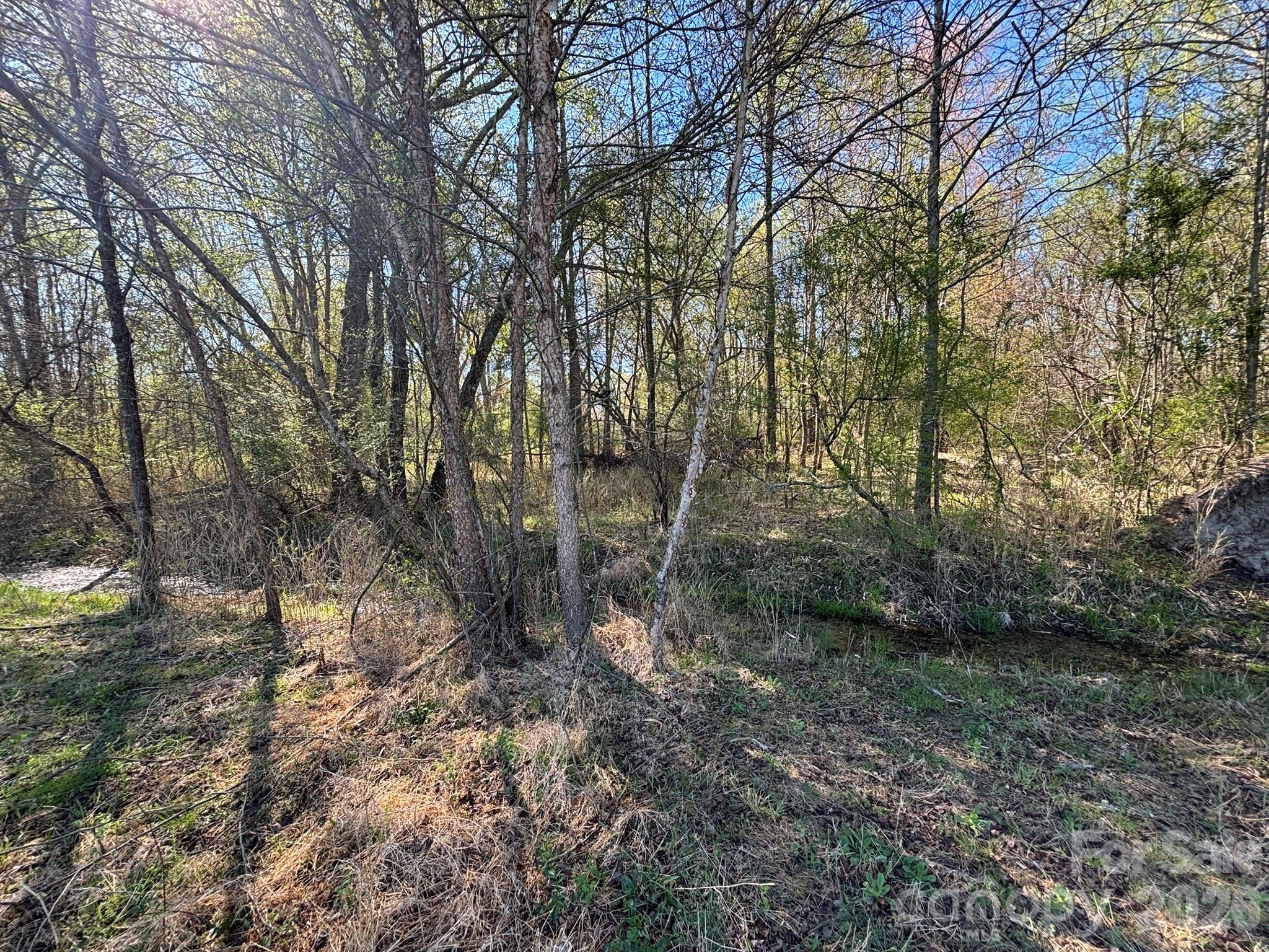 Lot #4 Prince Road Columbus NC 28722