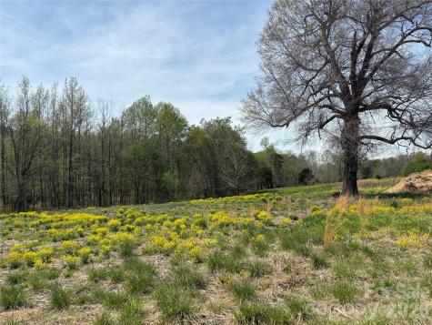 Lot #4 Prince Road Columbus NC 28722