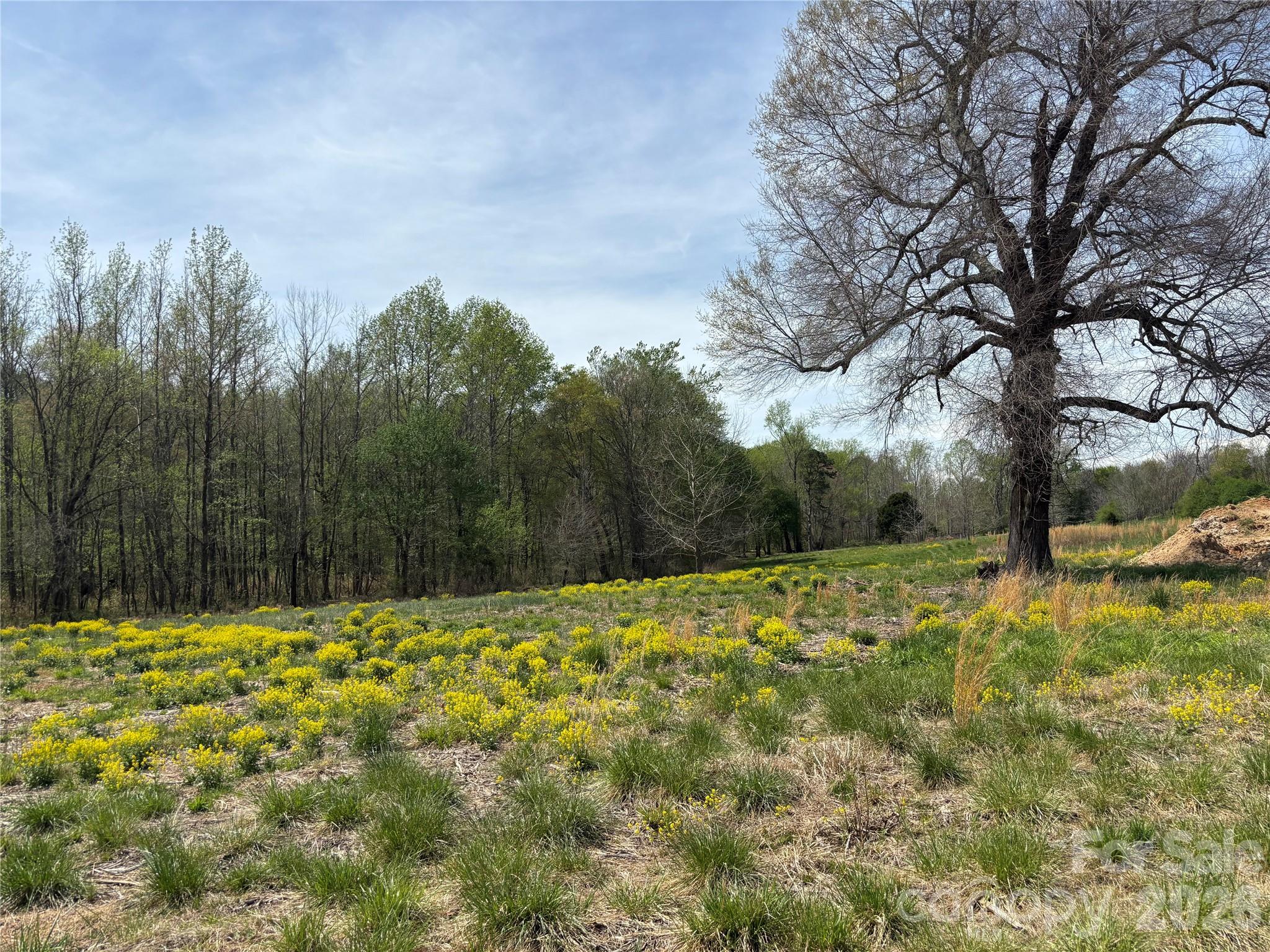 Lot #4 Prince Road Columbus NC 28722