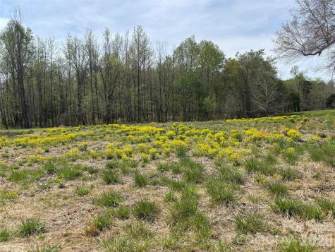 Lot #4 Prince Road Columbus NC 28722
