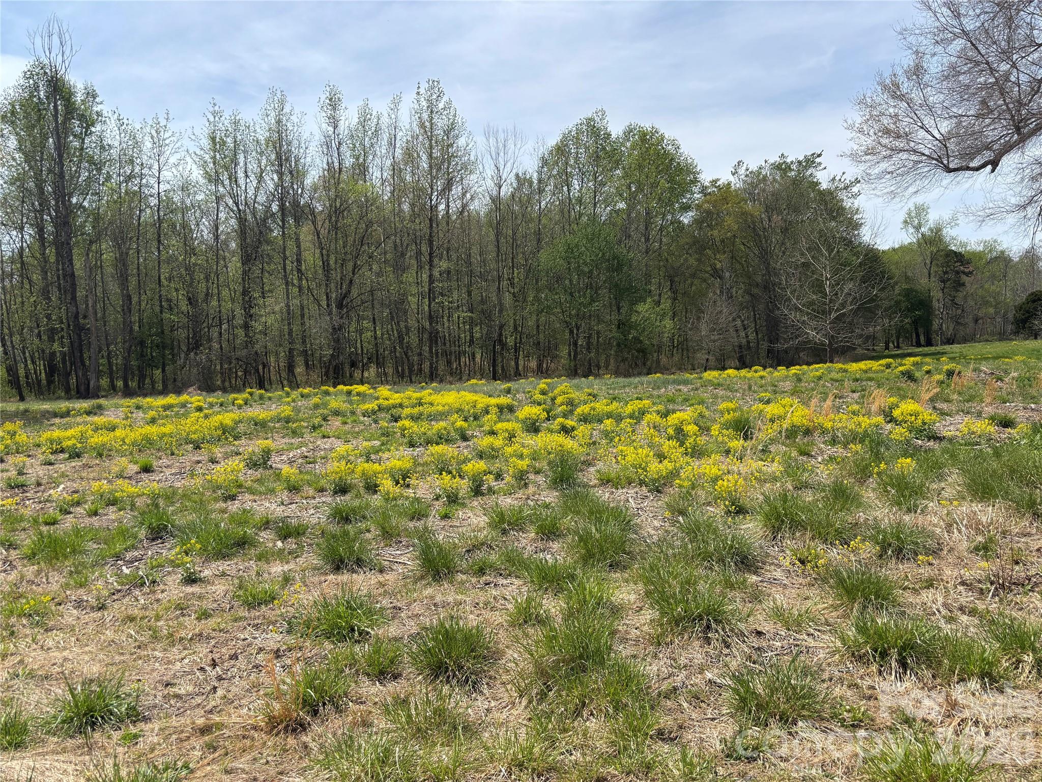 Lot #4 Prince Road Columbus NC 28722