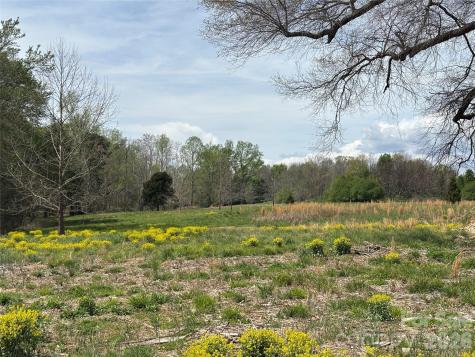 Lot #4 Prince Road Columbus NC 28722