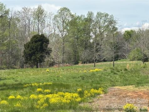 Lot #4 Prince Road Columbus NC 28722