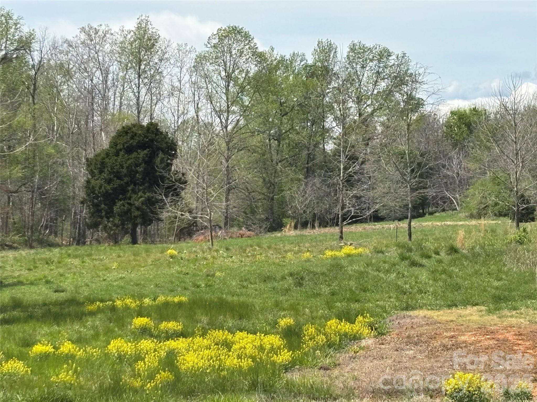 Lot #4 Prince Road Columbus NC 28722