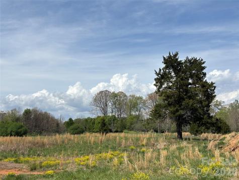 Lot #4 Prince Road Columbus NC 28722