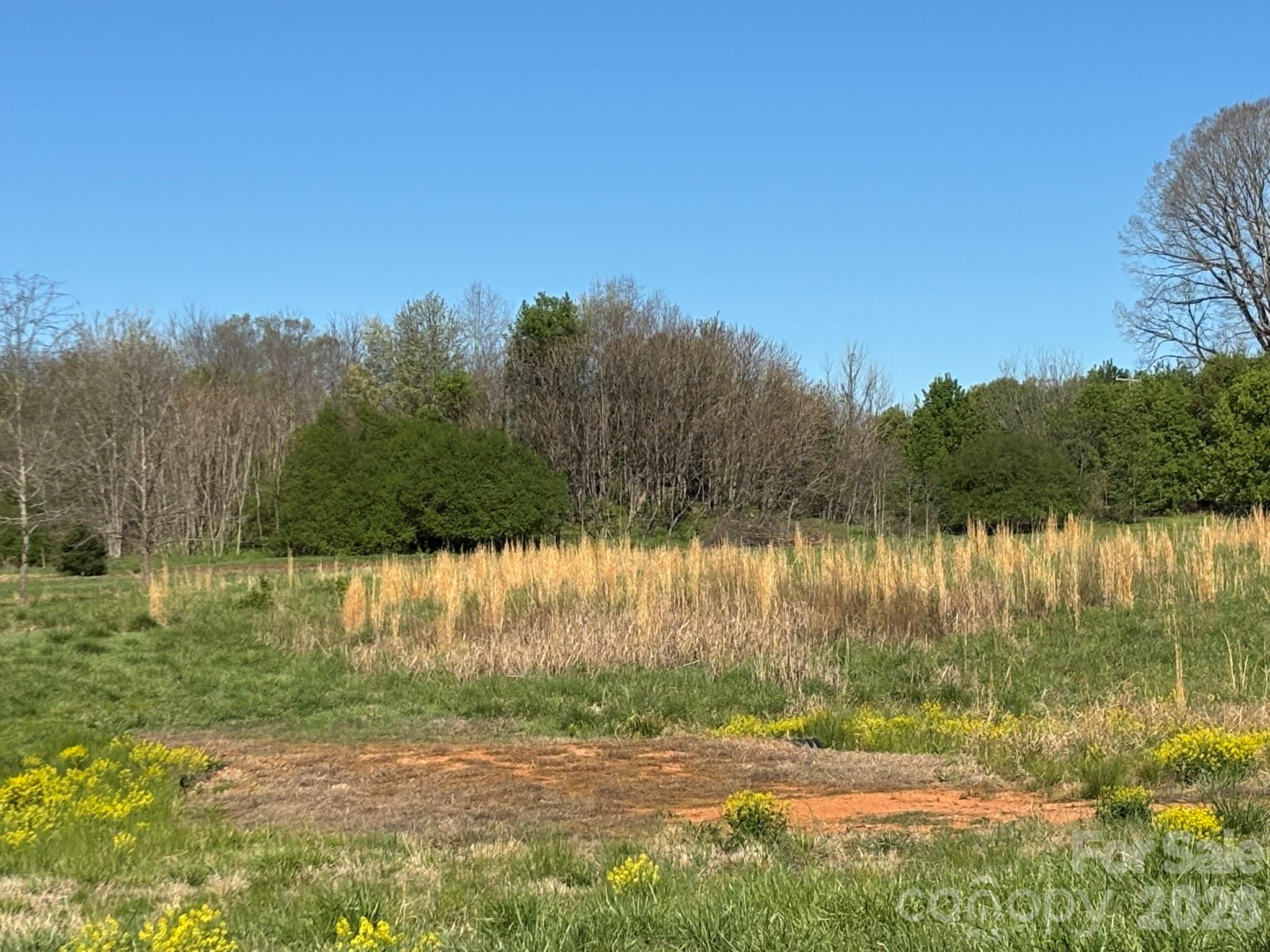 Lot #4 Prince Road Columbus NC 28722