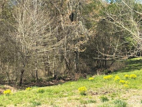 Lot #4 Prince Road Columbus NC 28722