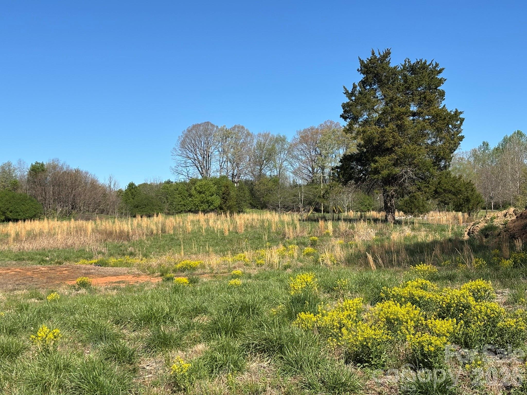 Lot #4 Prince Road Columbus NC 28722