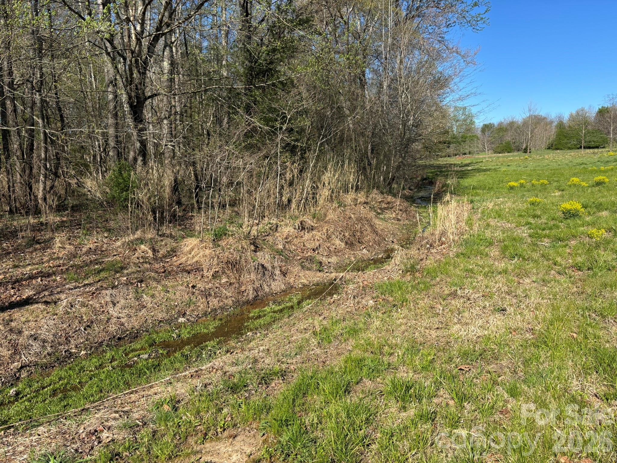 Lot #4 Prince Road Columbus NC 28722